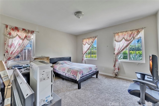 bedroom with carpet flooring