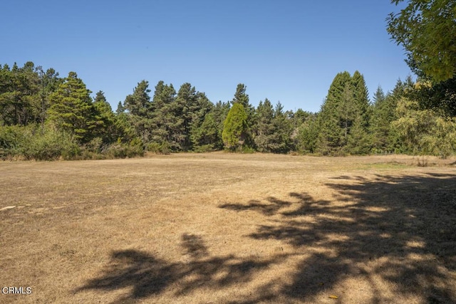 view of local wilderness