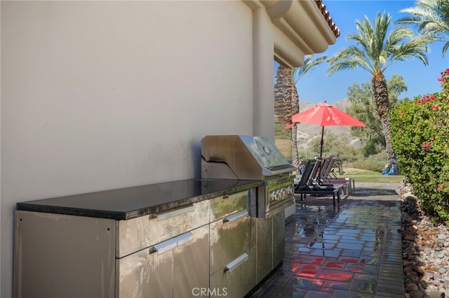 view of patio featuring area for grilling and grilling area