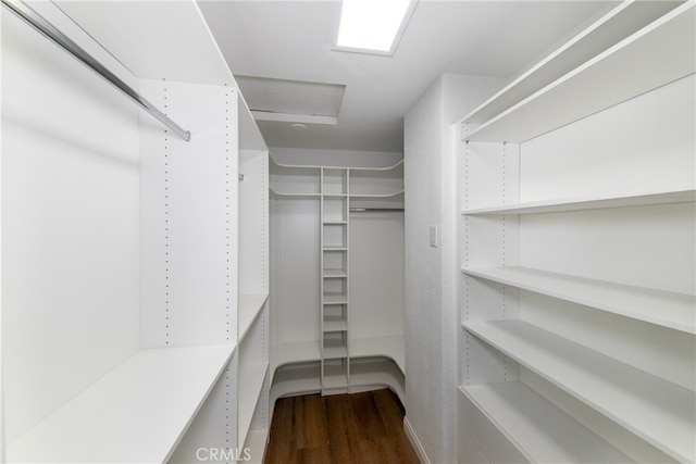 spacious closet featuring wood-type flooring