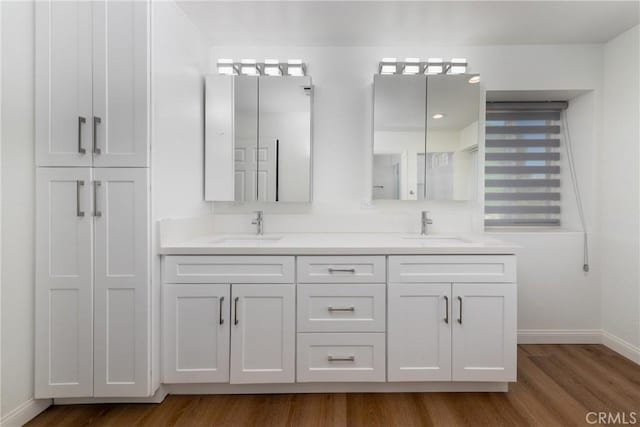bathroom with double vanity, wood finished floors, baseboards, and a sink