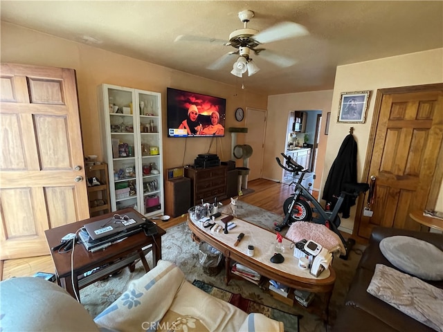 living room with ceiling fan and hardwood / wood-style floors