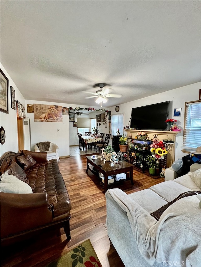 living room with ceiling fan and hardwood / wood-style flooring