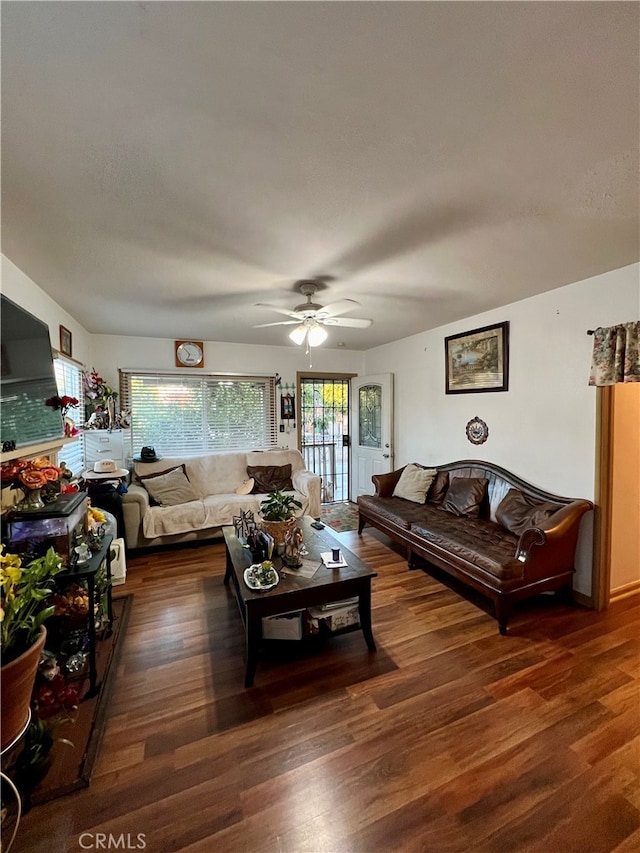 living room featuring ceiling fan and dark wood-type flooring