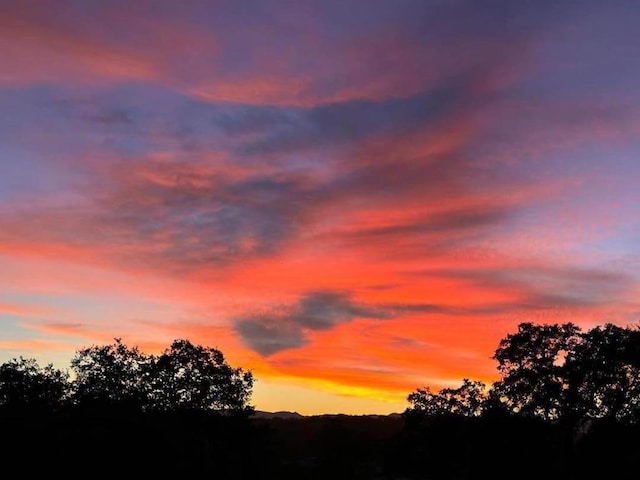 view of nature at dusk