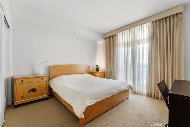 bedroom with a closet and carpet floors