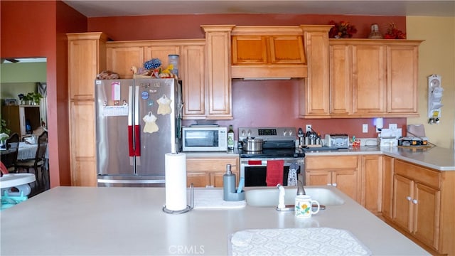 kitchen with premium range hood, appliances with stainless steel finishes, and sink