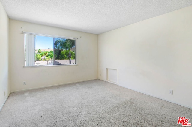 empty room with carpet and a textured ceiling