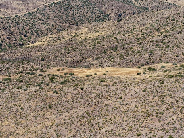 view of mountain feature