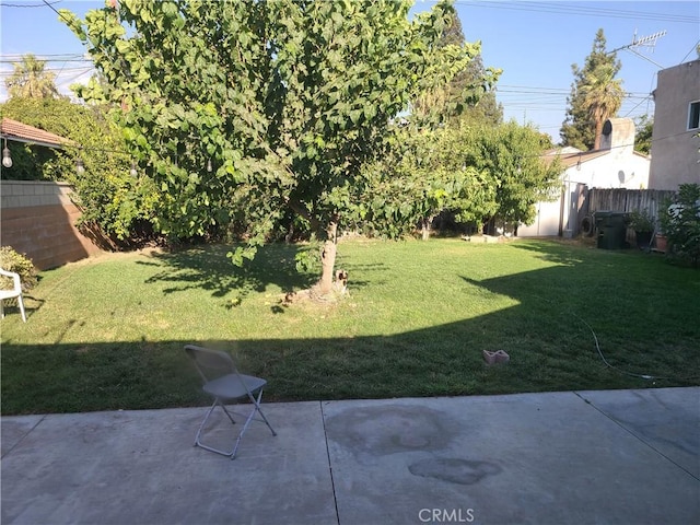 view of yard with a patio