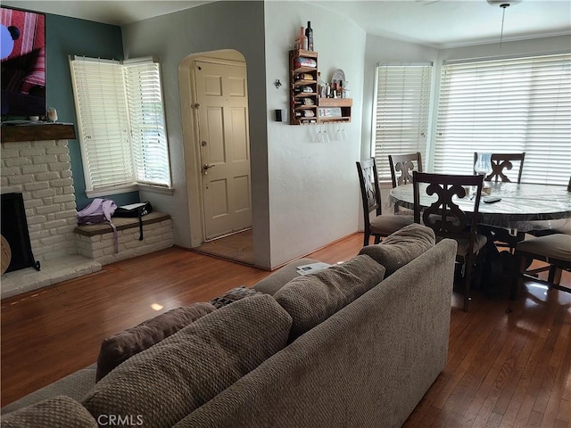 living room featuring wood-type flooring