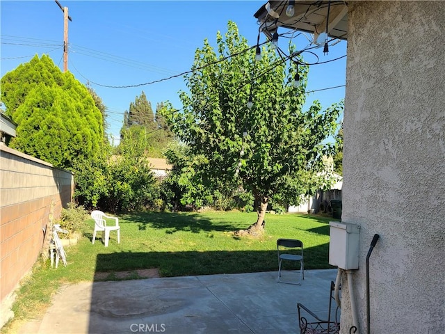 view of yard with a patio area