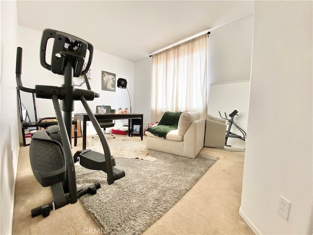 workout area featuring carpet flooring