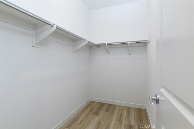 walk in closet with hardwood / wood-style flooring