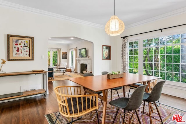 dining area featuring ornamental molding, a wealth of natural light, and dark hardwood / wood-style flooring