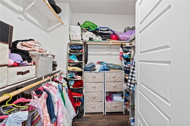 walk in closet featuring dark hardwood / wood-style floors