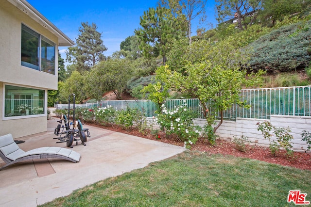 view of yard with a patio area