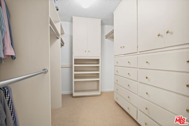 walk in closet with light colored carpet