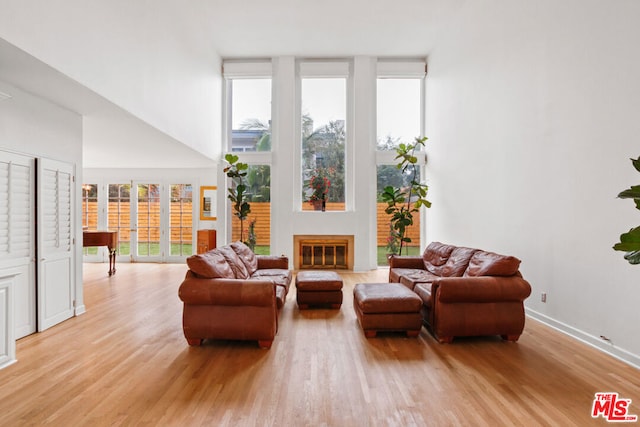 living room with light wood-type flooring