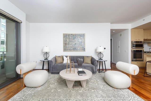 living room featuring light hardwood / wood-style flooring