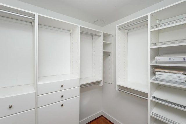 view of walk in closet