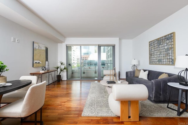 living room with wood-type flooring