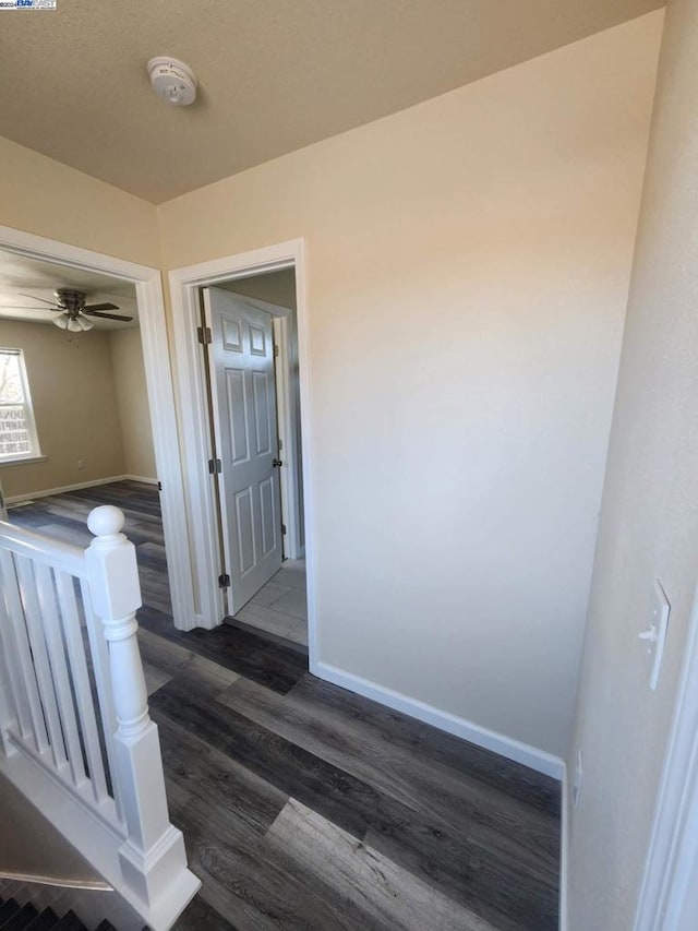 interior space with dark hardwood / wood-style flooring