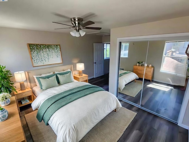 bedroom with dark hardwood / wood-style flooring, ceiling fan, and a closet