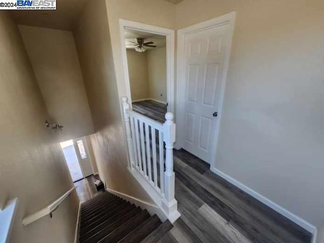 stairway featuring wood-type flooring