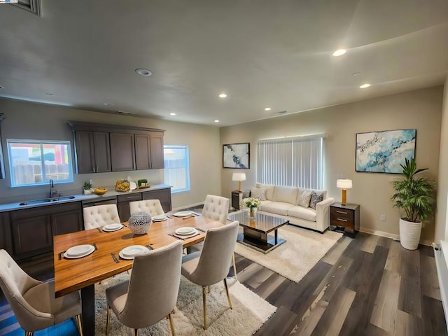 dining space with sink and dark wood-type flooring