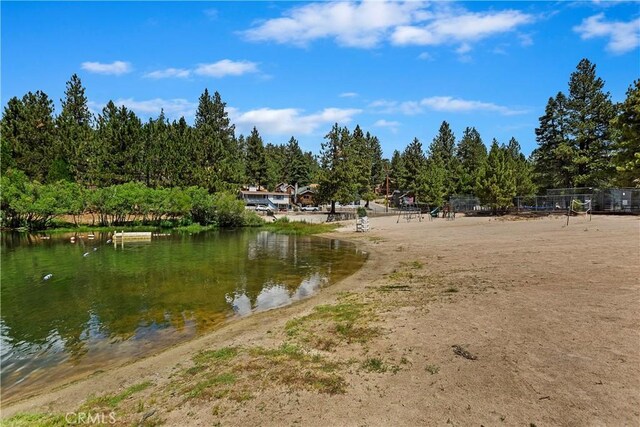 33037 Canyon Dr, Green Valley Lake, CA 92341 - photo 56