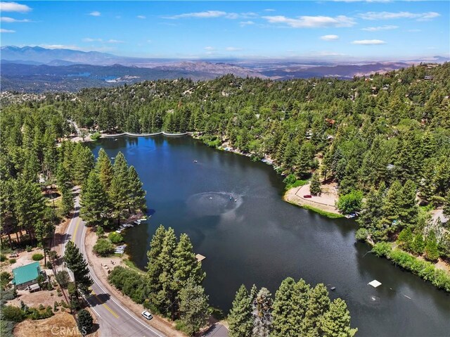 bird's eye view with a water and mountain view