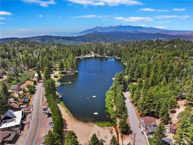 bird's eye view with a water and mountain view