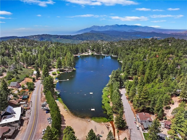 33037 Canyon Dr, Green Valley Lake, CA 92341 - photo 55
