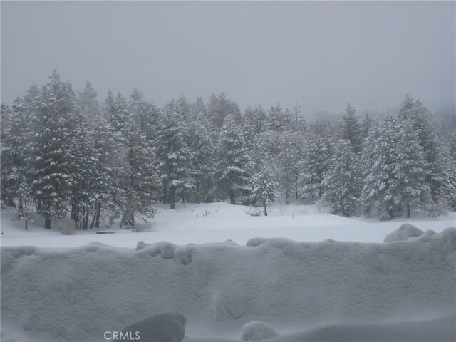 view of snowy yard