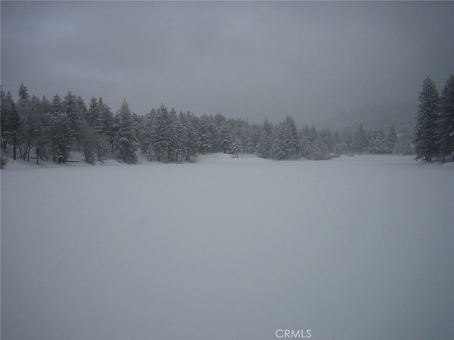 view of snowy yard