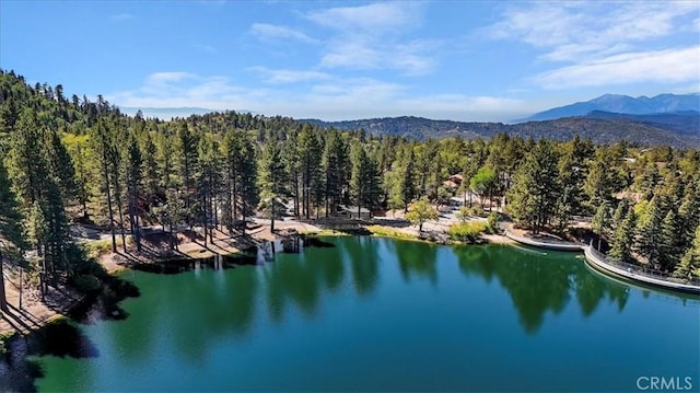 33037 Canyon Dr, Green Valley Lake, CA 92341 - photo 68