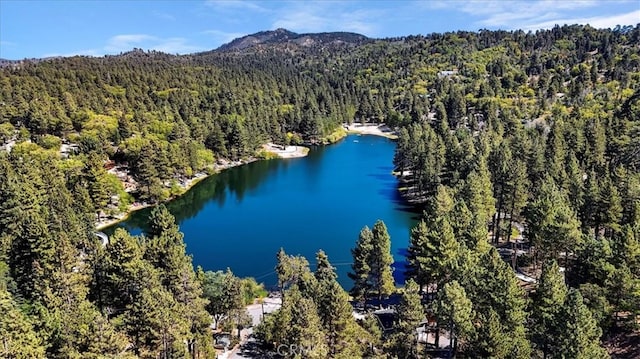 aerial view featuring a water and mountain view