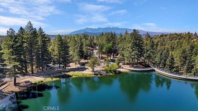 bird's eye view with a water and mountain view