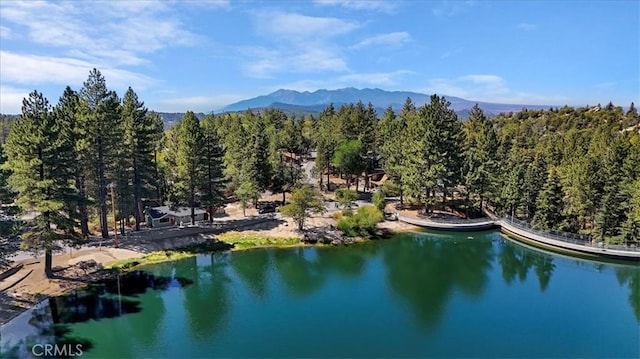33037 Canyon Dr, Green Valley Lake, CA 92341 - photo 50