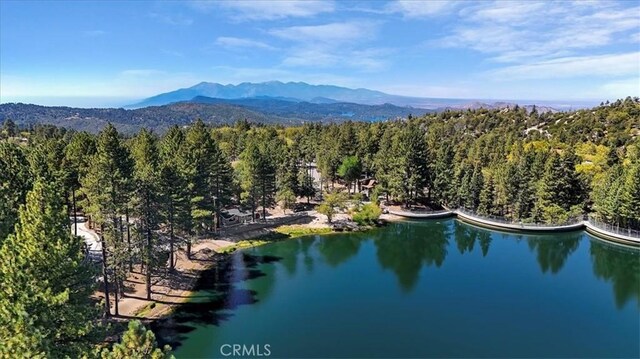 bird's eye view featuring a water and mountain view