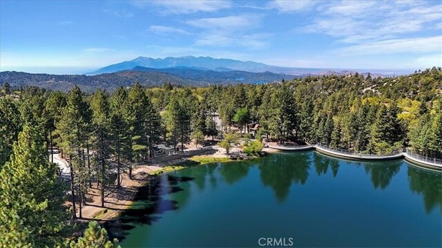 33037 Canyon Dr, Green Valley Lake, CA 92341 - photo 48