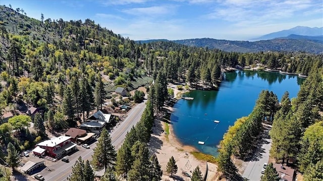 33037 Canyon Dr, Green Valley Lake, CA 92341 - photo 51