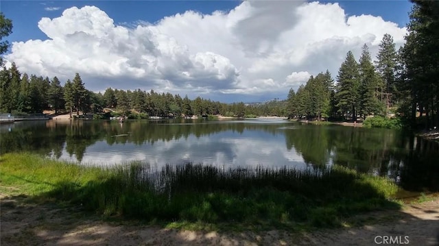 33037 Canyon Dr, Green Valley Lake, CA 92341 - photo 20