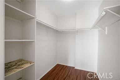 walk in closet with dark hardwood / wood-style floors