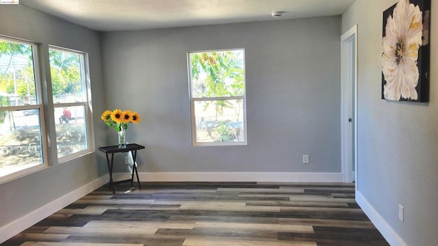 unfurnished room with dark hardwood / wood-style flooring