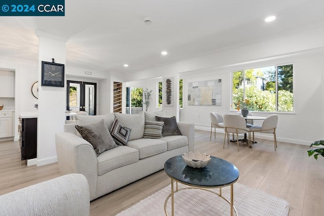 living room featuring crown molding and light hardwood / wood-style flooring