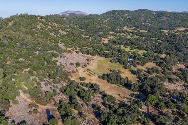 aerial view with a mountain view