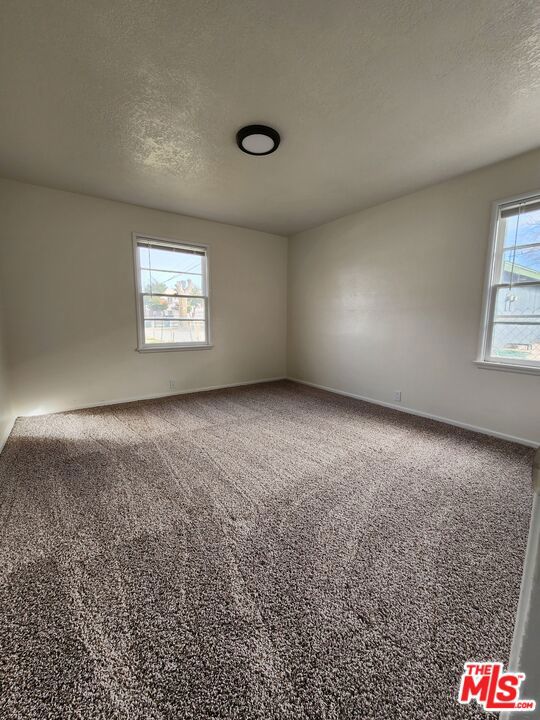 unfurnished room featuring a wealth of natural light and carpet flooring