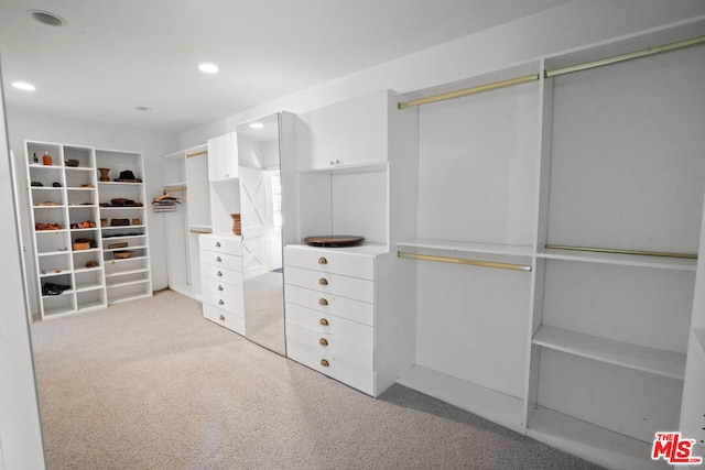 spacious closet featuring light carpet